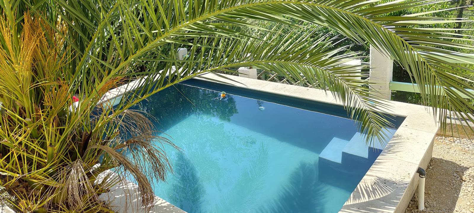 Les nouvelles tendances design piscine juste pour vous