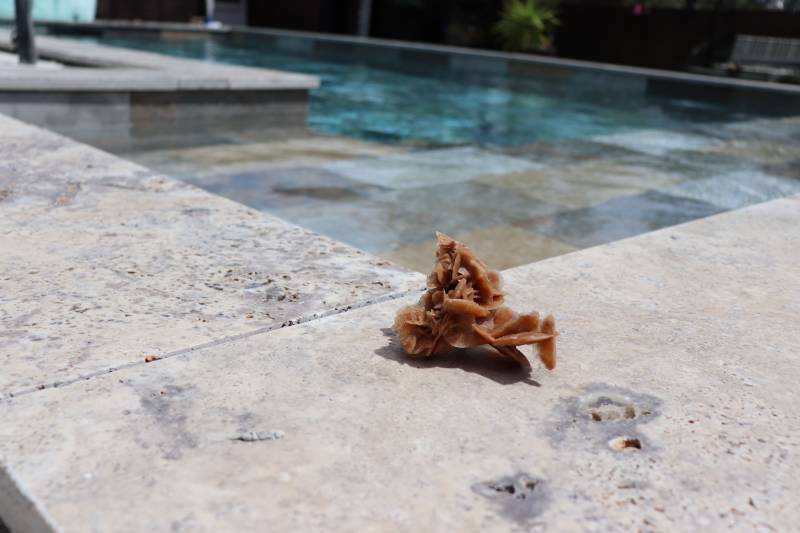 Construction d'une piscine en béton armé à Cuers dans le Var